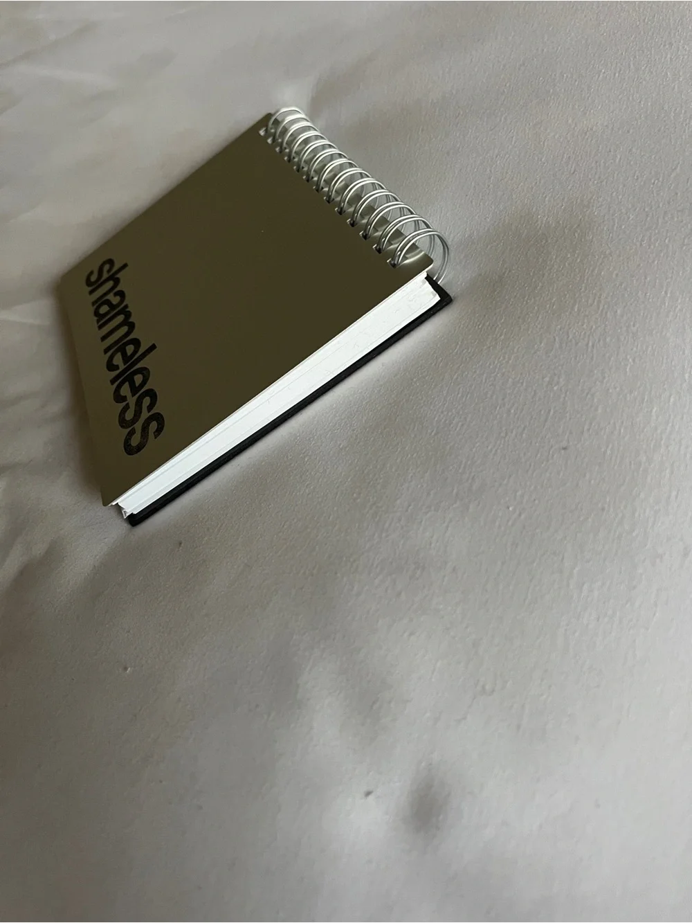 Notebook shameless silver